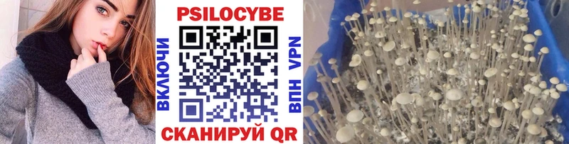 OMG зеркало  Яблоновский  Псилоцибиновые грибы MAGIC MUSHROOMS 